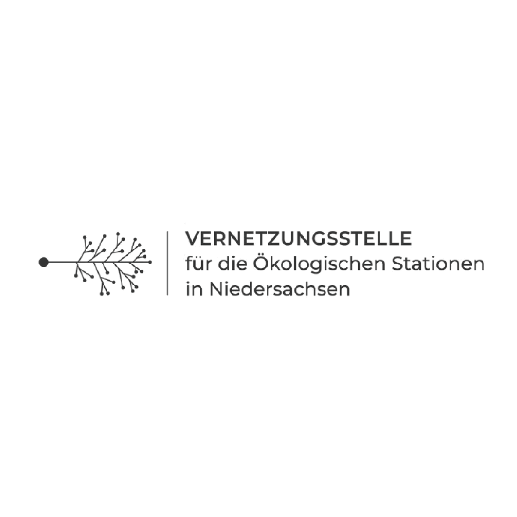 vernetzungsstelle-referenz